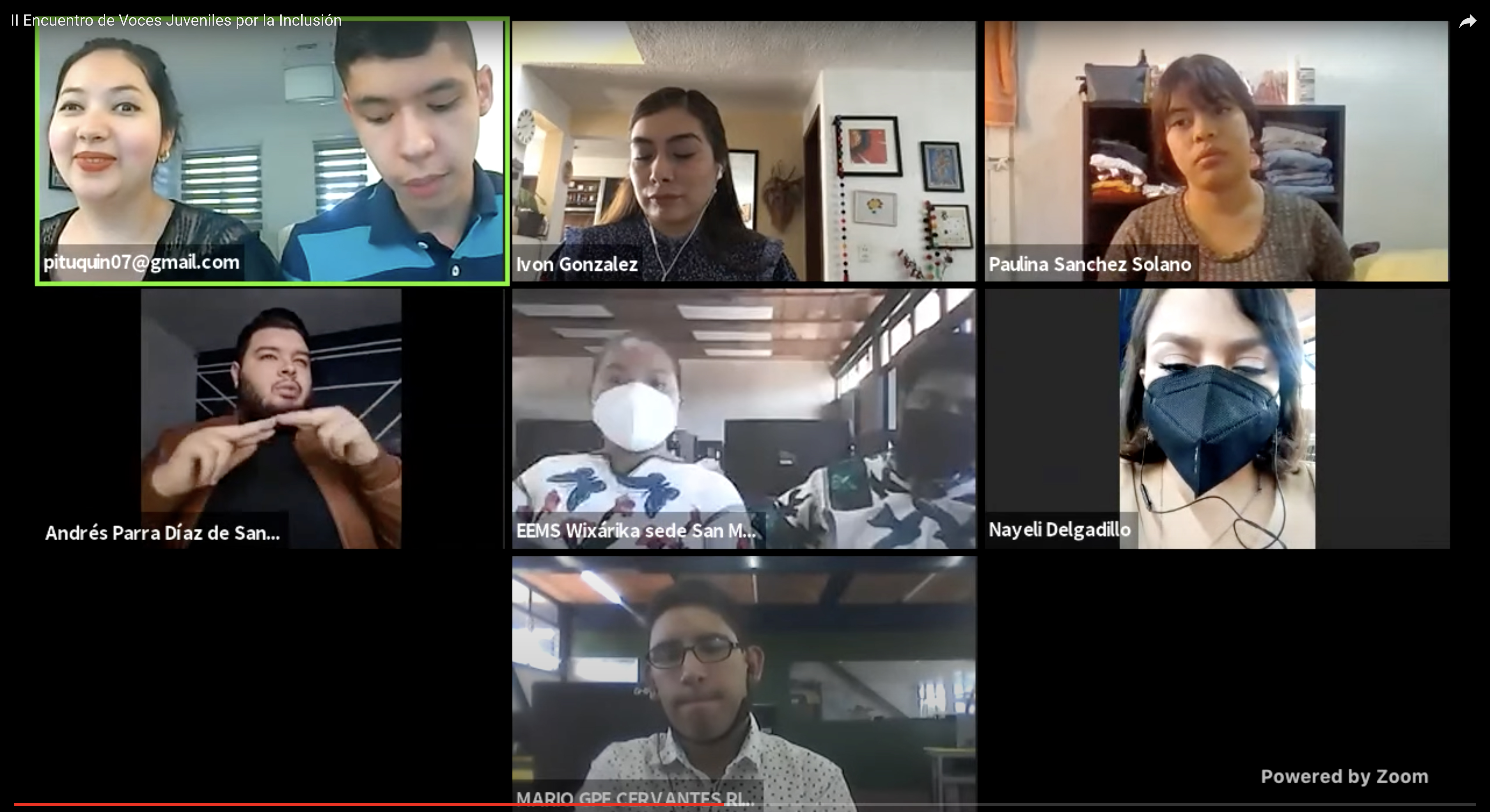 Captura de pantalla de participantes del evento virtual