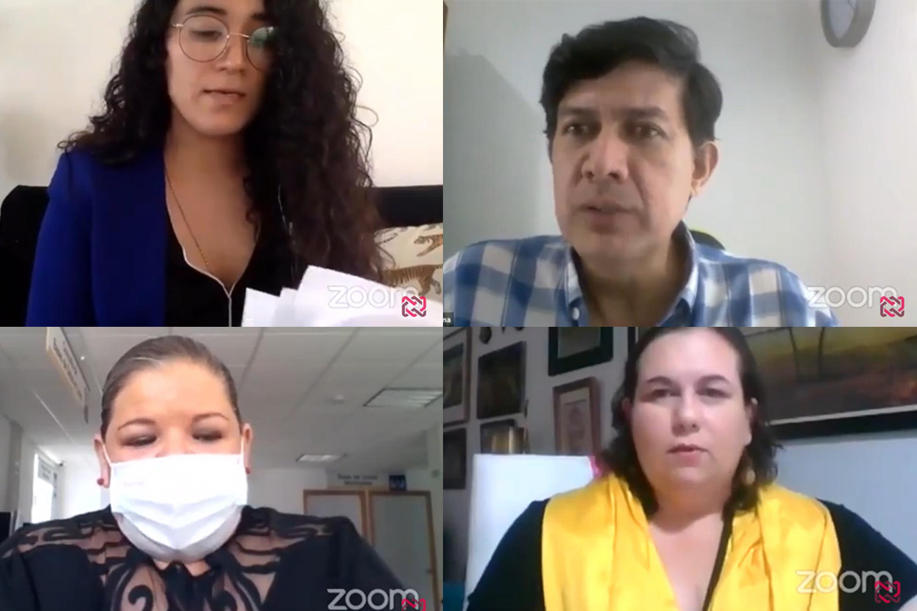 Especialistas en video conferencia