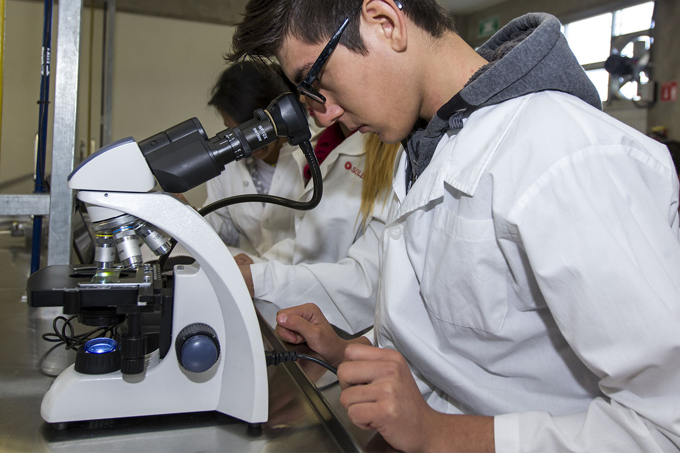 Alumno observando en microscopio