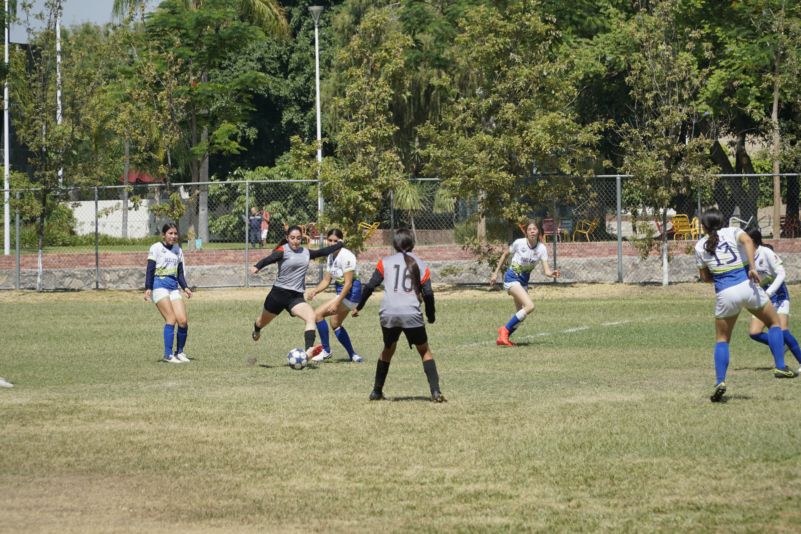 participantes en actividad