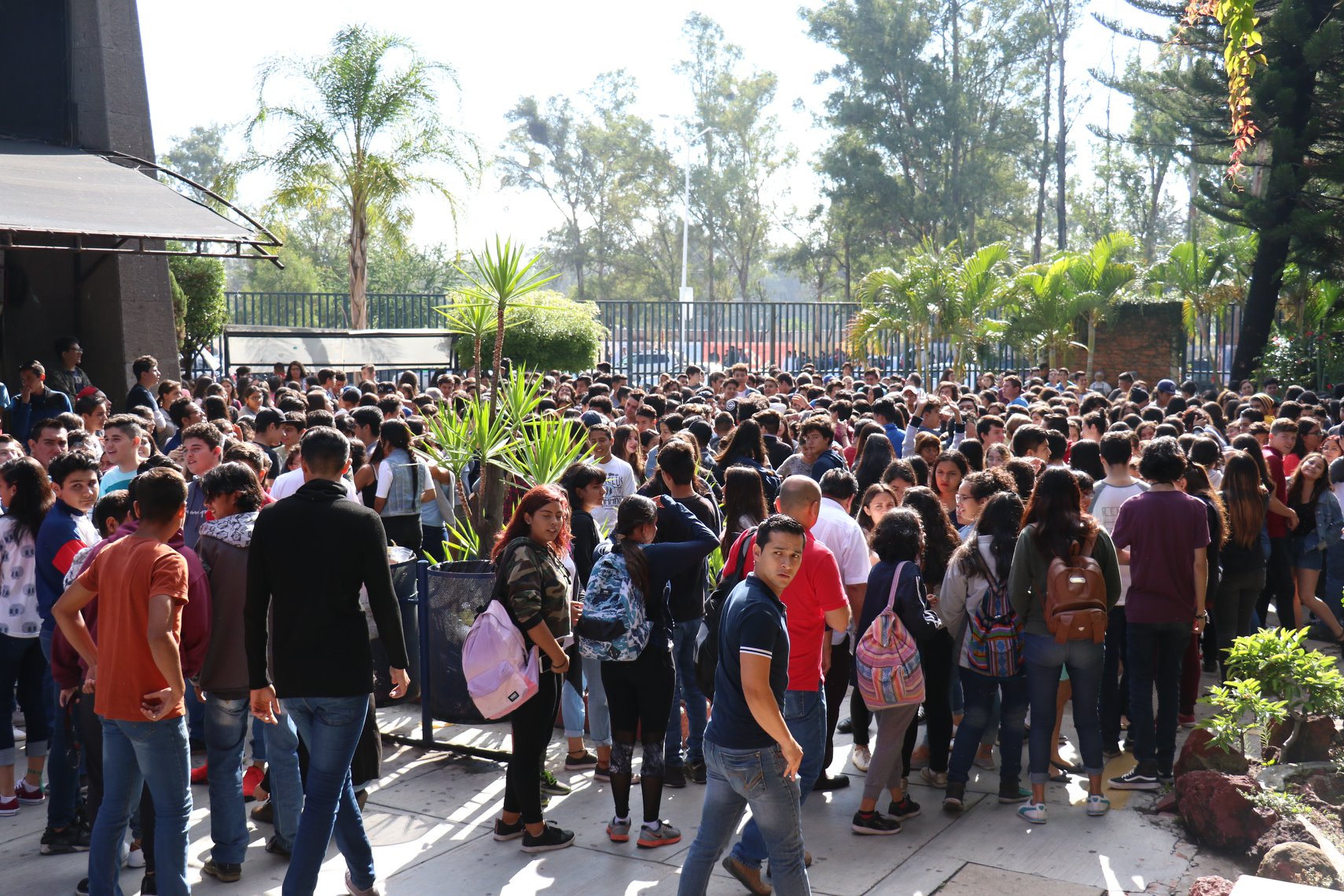 Alumnos