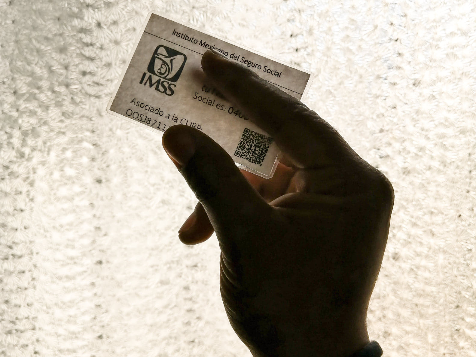 mano sostiene credencial