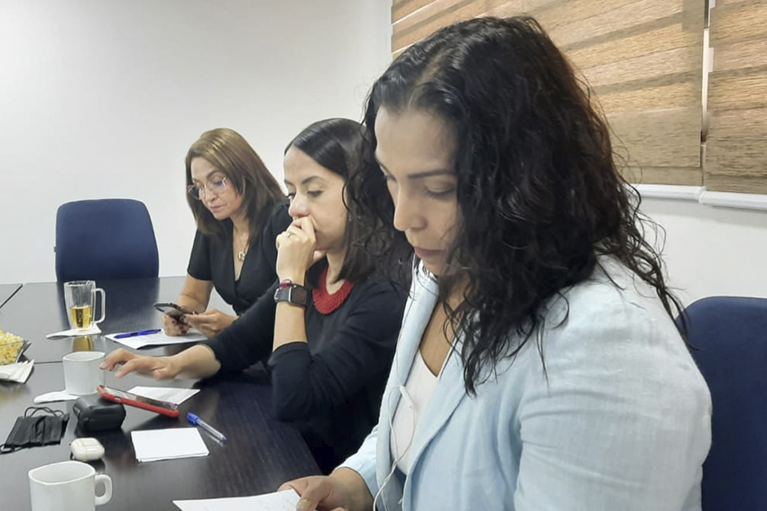 Participantes en el evento virtual