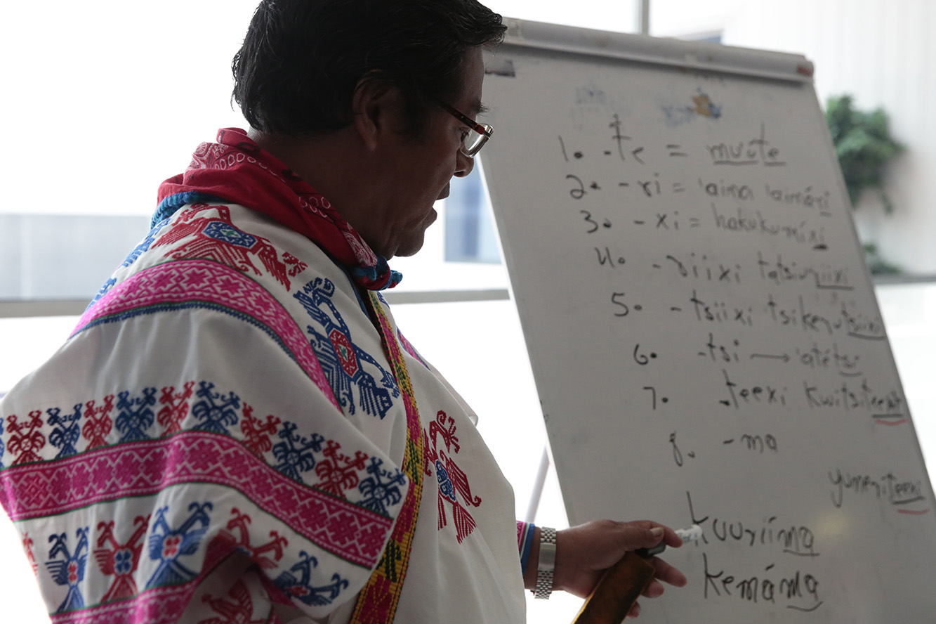 Maestro wixárika