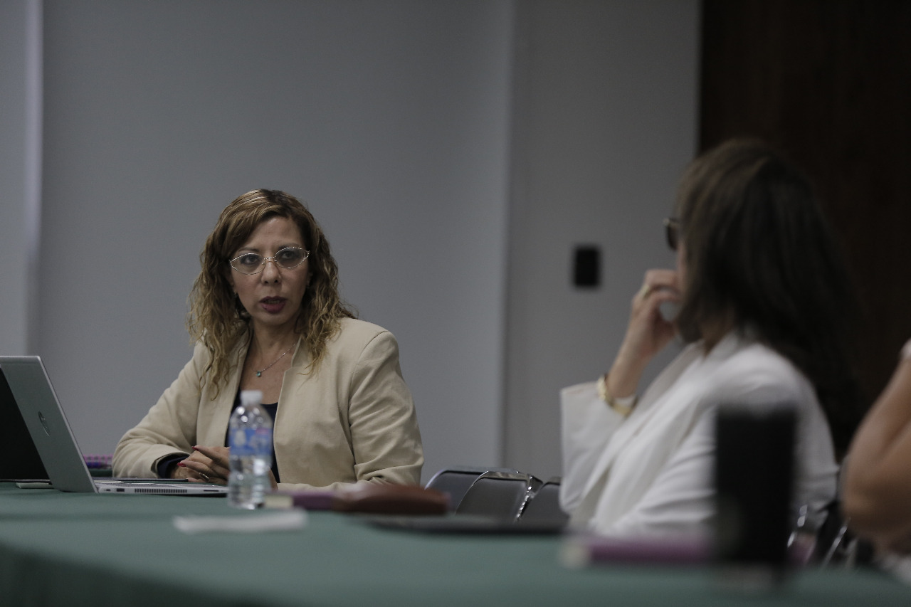 Participantes en reunión