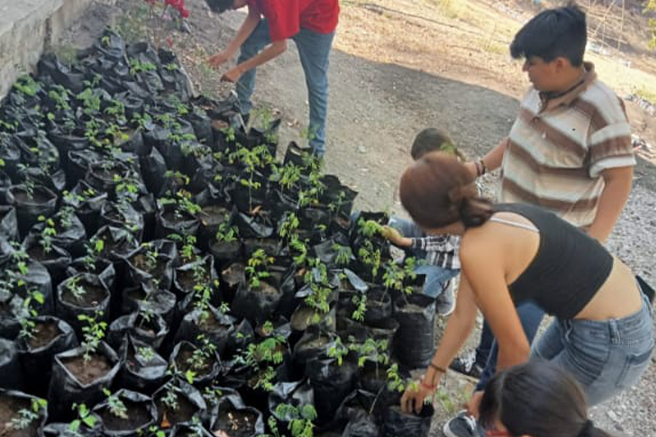 Estudiantes que participan en acticidad