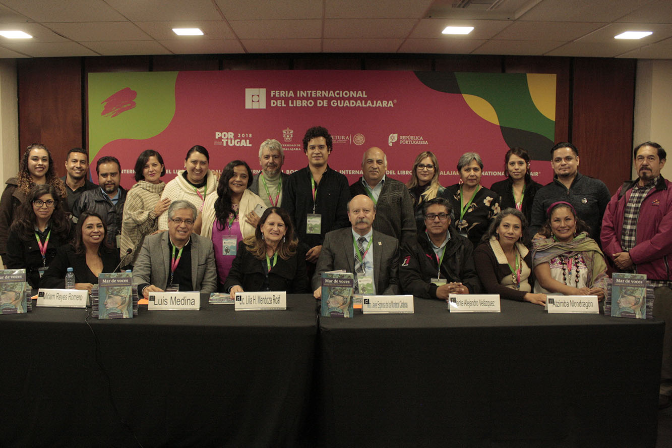 Docentes