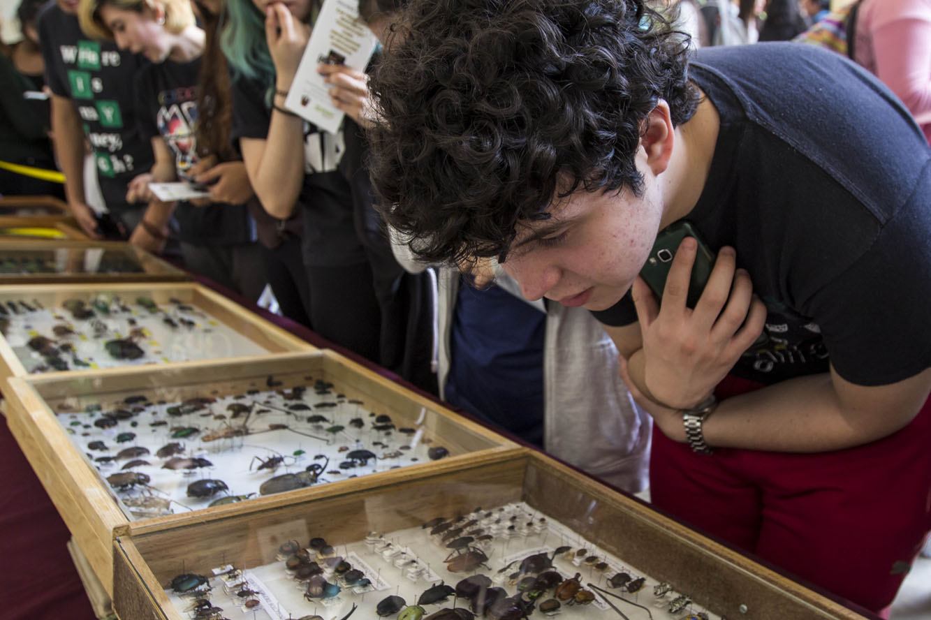 Alumno observando piezas de exposición