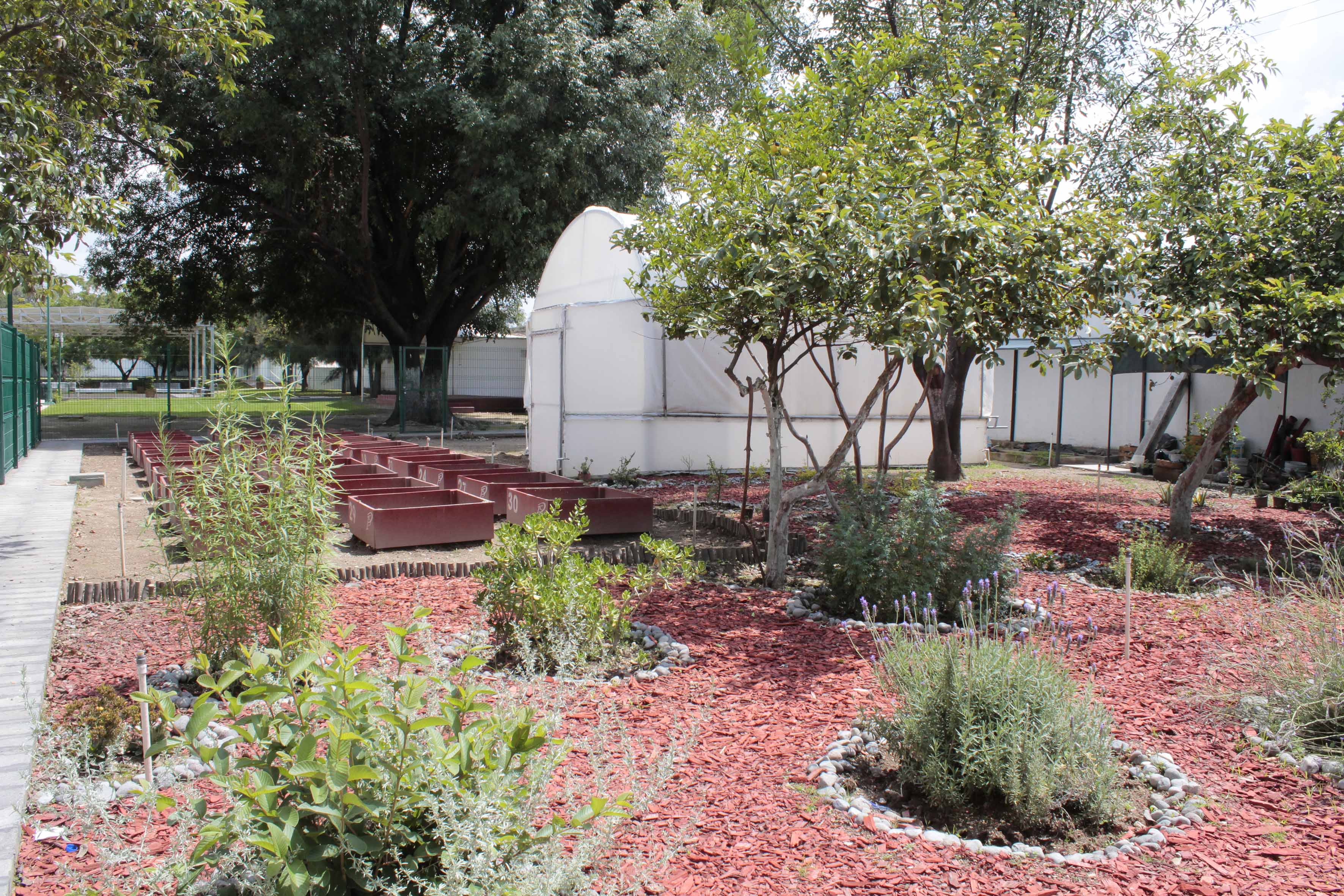Vivero de la Preparatoria 15