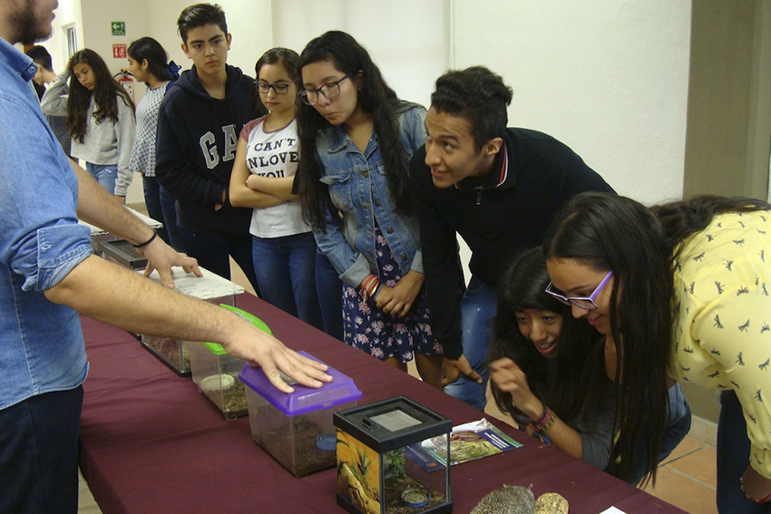 Alumnos observan colección biológica