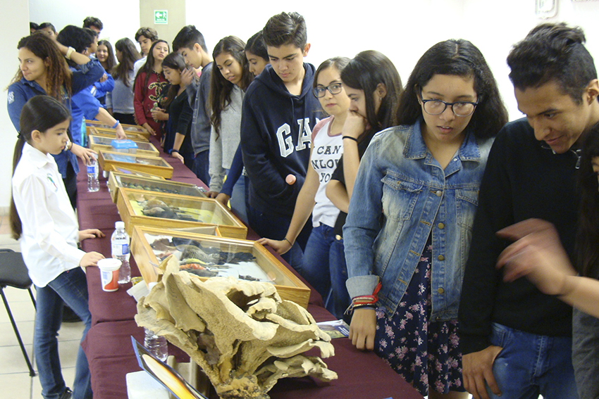 Alumnos observan colección biológica
