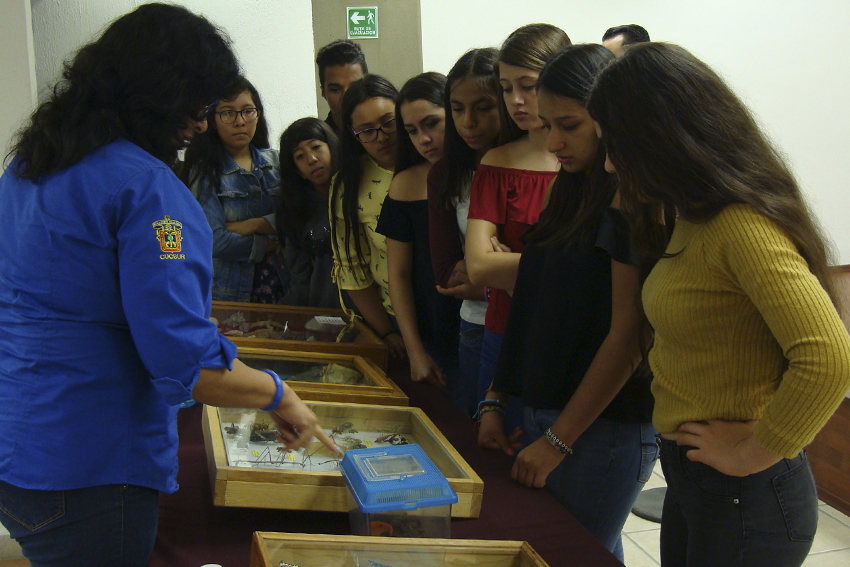Alumnos observan colección biológica