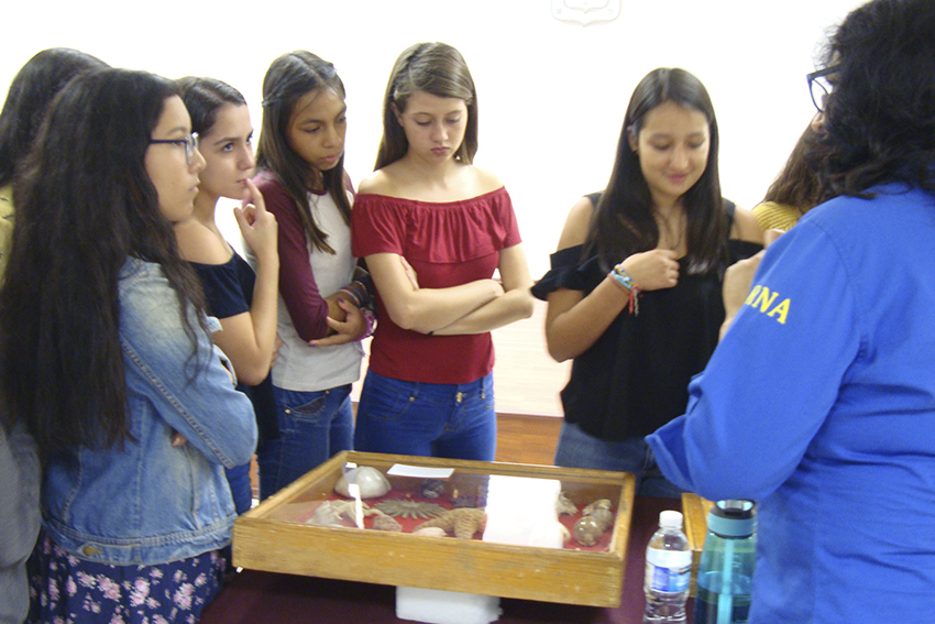 Alumnos observan colección biológica