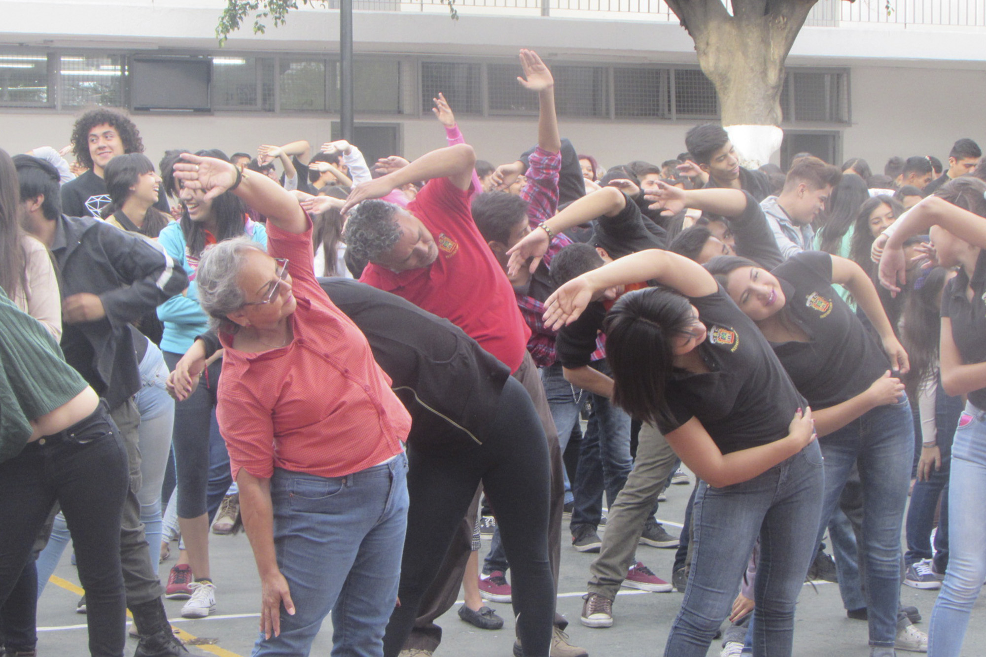 Grupo de personas en actividad física