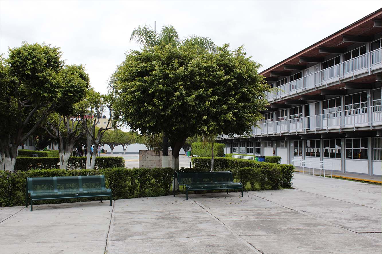 Patio interno y jardín del plantel