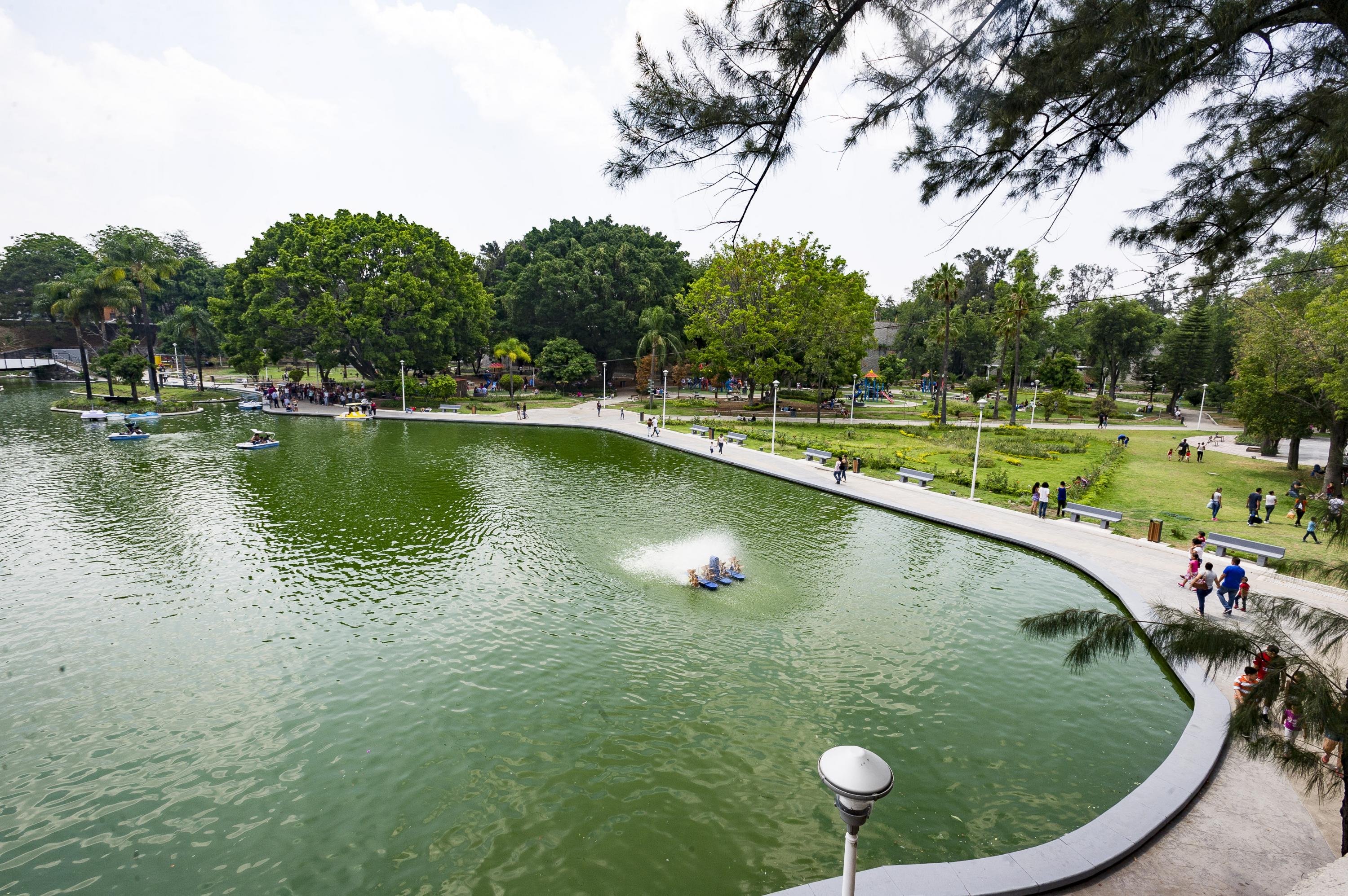 Imagen de lago y área verde
