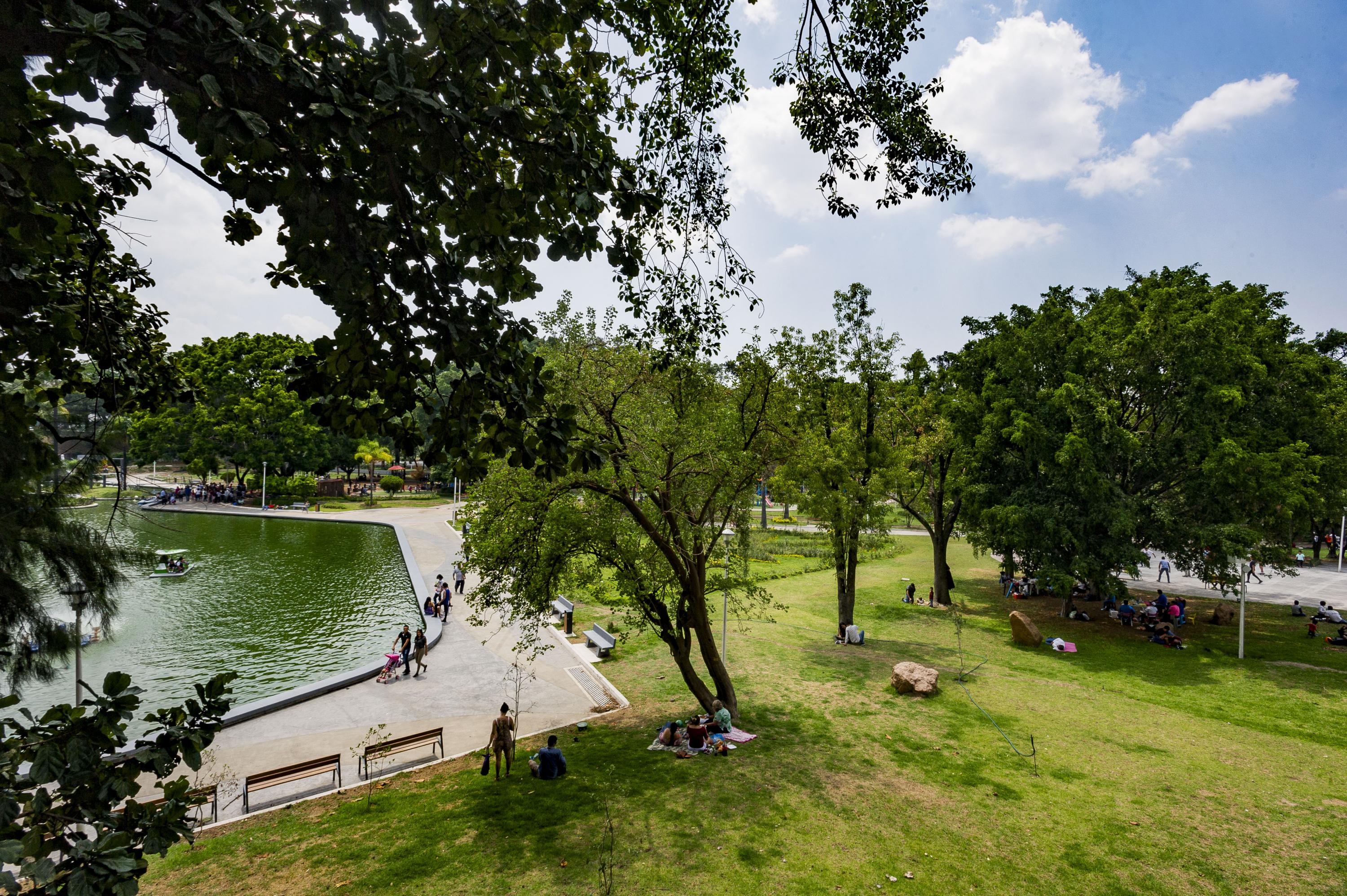 Imagen de lago y área verde