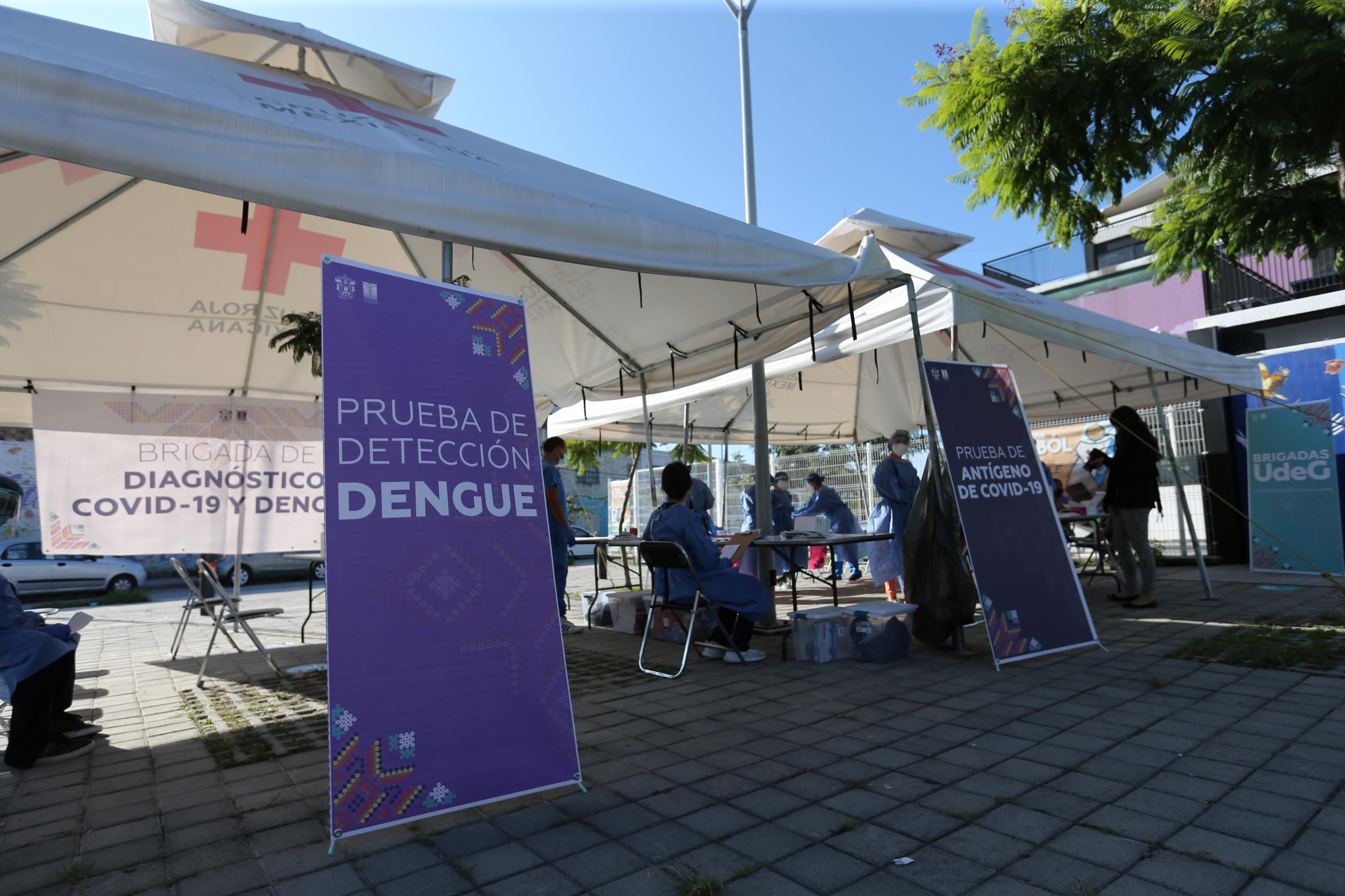 módulo de brigada de diagnóstico covid y dengue