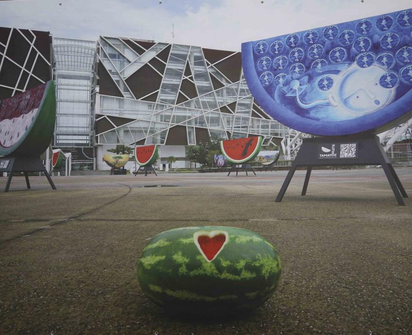 Obras en exposición