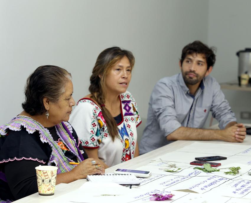 personas sentadas en un a mesa con plantas medicinales