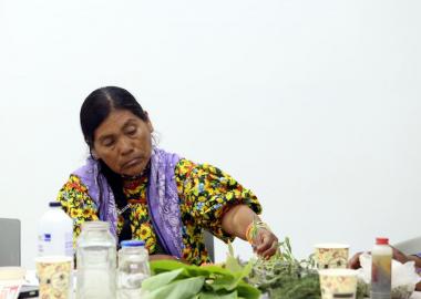 Mujer adulta mayor sentada manipula plantas medicinales en una mesa