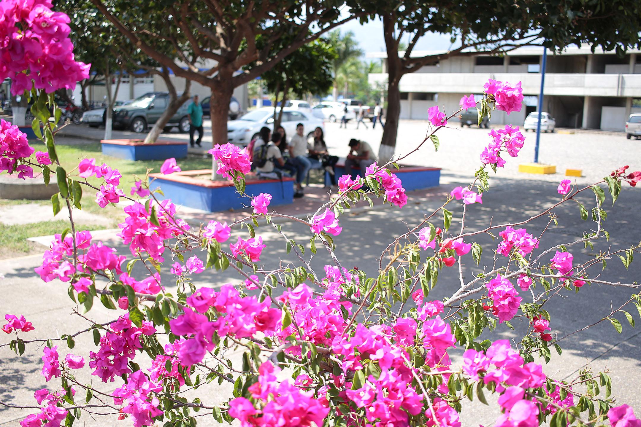 Fotografía: Jonatan Orozco