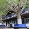 Instalaciones del plantel