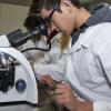 Alumno observando en microscopio