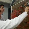 Alumnos operando equipo de Telecomunicaciones 