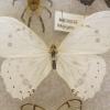 Mariposa