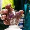 Mano junto a un foco en experimento