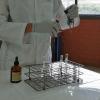 Laboratorista manipula tubos de ensayo
