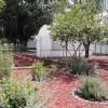 Vivero de la Preparatoria 15