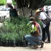 Personas junto árboles
