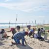 Grupo de personas en la playa