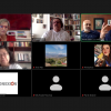 Captura de pantalla de participantes del evento virtual