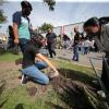 Plantan árbol participantes en contingente caminata por la autonomía Caminata por la Autonomía, la Educación y la Salud