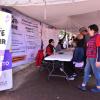 Participantes de brigada Nos late servir