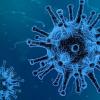Captura de pantalla de virus